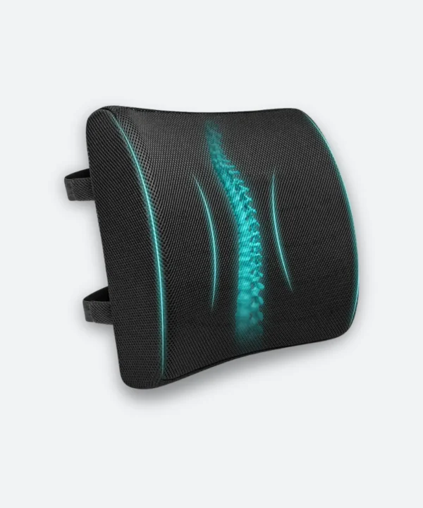 Back Support Pillow