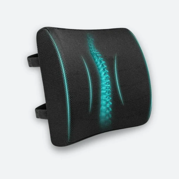 Back Support Pillow