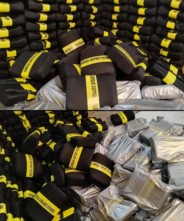 Back Support Pillow