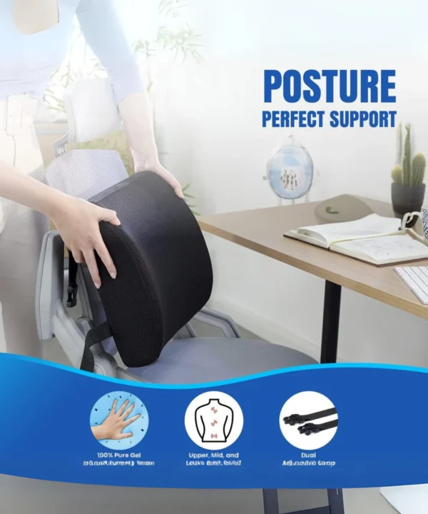 Back Support Pillow