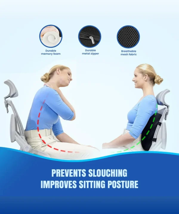 Back Support Pillow