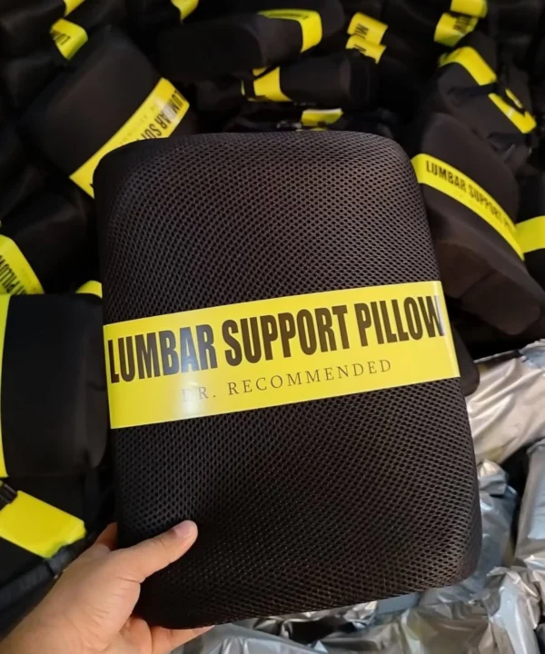 Back Support Pillow